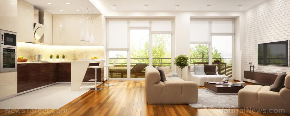 Male fertility warning: Chemicals in household items can damage sperm in men, dogs