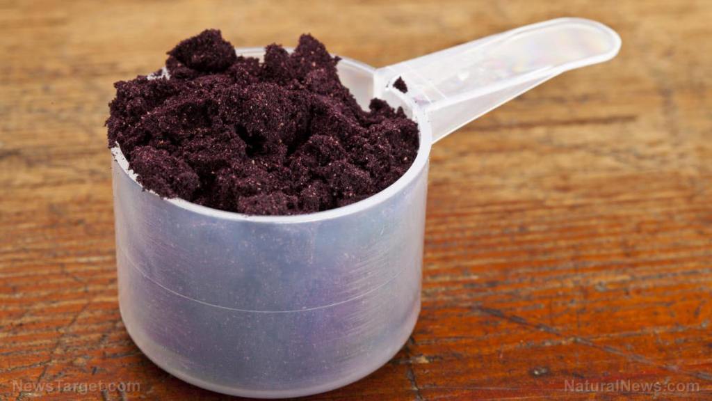 Maqui berry is an underreported superfood – it shows scientific promise for lowering your blood sugar levels