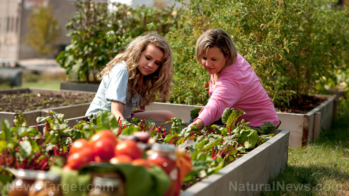 3 Ways to save money on your homestead