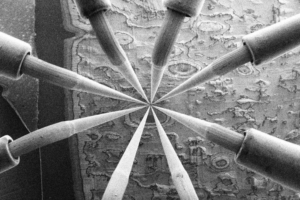 Superparamagnetic nanoparticles delivered via vaccines; Operation Warp Speed a TRAP for Democrats, and the engineered collapse of America accelerates