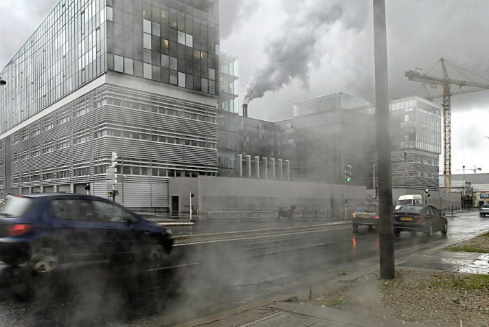 Vitamin C lowers the harmful effects of air pollution, study finds