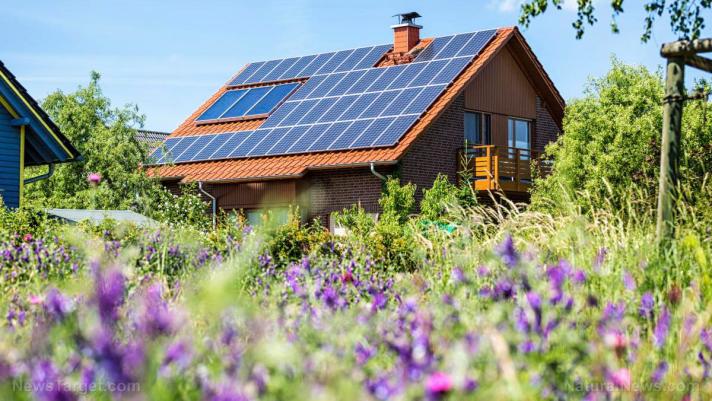 Homestead must-haves: The best solar batteries for off-grid use