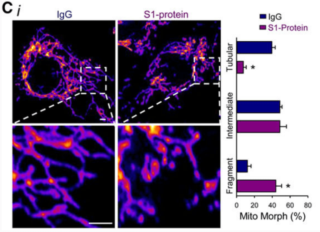 Bombshell Salk Institute science paper reveals the covid spike protein is what’s causing deadly blood clots… and it’s in all the covid vaccines (by design)