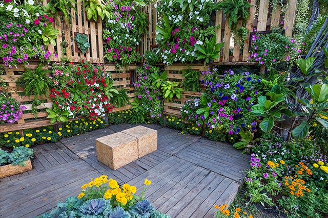 12 Budget-friendly tips for creating a beautiful garden