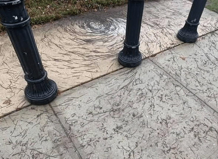“Wormnado” – Hundreds of worms cluster into a tornado-like pattern on New Jersey sidewalk