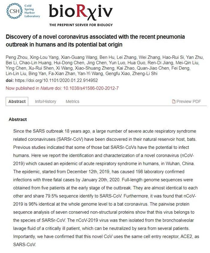 Discovery of a novel coronavirus