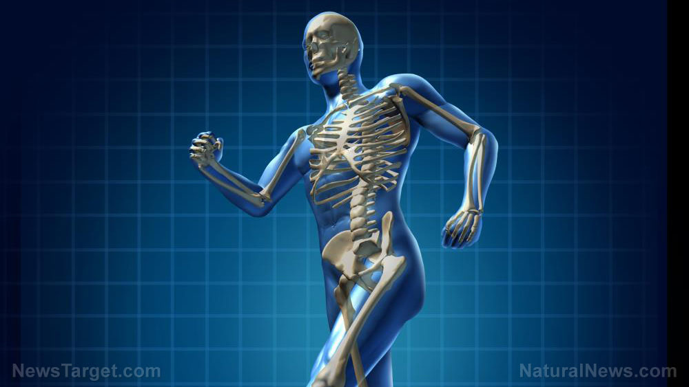 Natural soy isoflavone daidzein can boost bone formation, research says