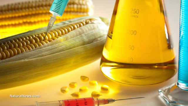 High Fructose Corn Syrup Now Labeled as Fructose or HFCS-90
