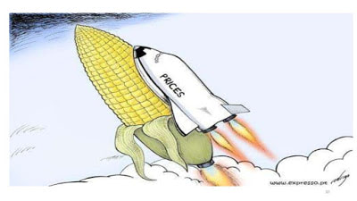 corn prices