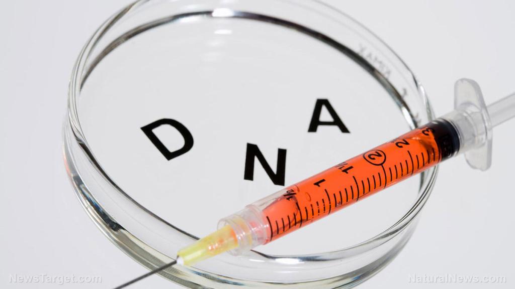 BEWARE: Nucleic acid vaccines use a GENE GUN that forces mutated code into your cells to create protein prions that clog your blood