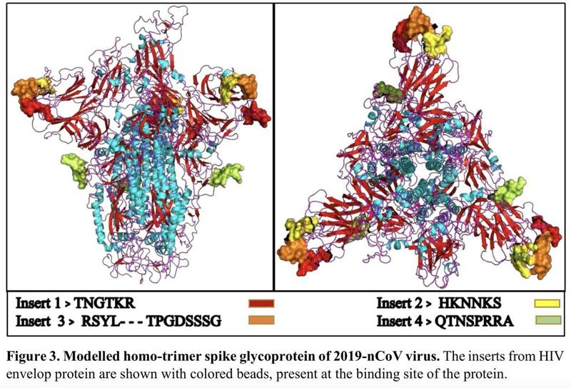 Two of the sequences were perfect matches (albeit, short), and two of the sequences were matched but each with an additional string of non-matching material appearing in the middle of the sequence.