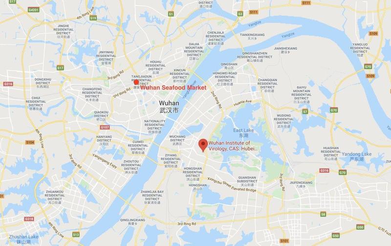 Wuhan map