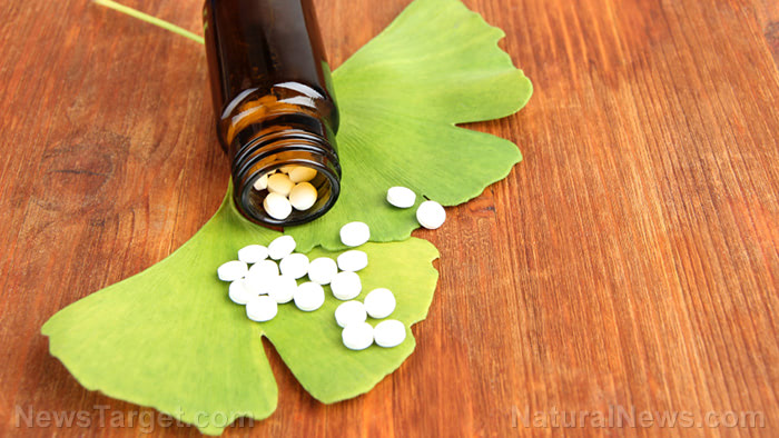 Brain-boosting herbs for better memory