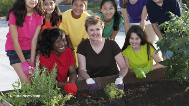 Urban gardening survival secrets: some ways to grow food in any city even when your life depends on it