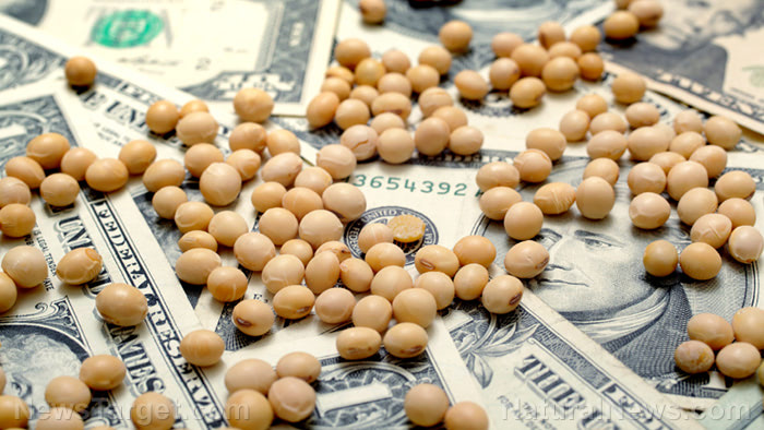 “Soy boys” running WeWork BAN meat for all employees… GMO soy laced with glyphosate the new recommendation