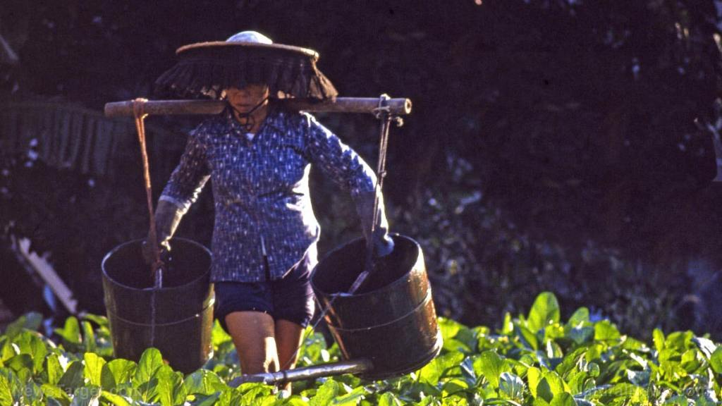 Organic farming employs more workers than conventional farms and encourages community development, according to survey