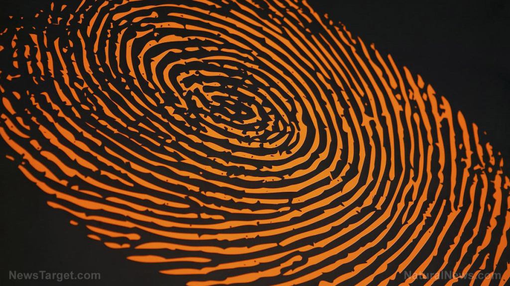Scientific group says fingerprint evidence in crimes is practically worthless