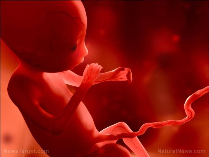 American College of Obstetricians and Gynecologists says “baby” shouldn’t be used to describe pre-born human life