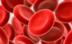 healthy-red-blood-cell