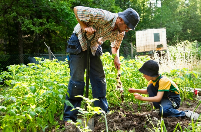 6 Most important skills every homesteader should learn