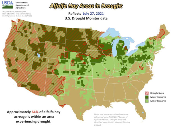 alfalfa drought vs crop usa