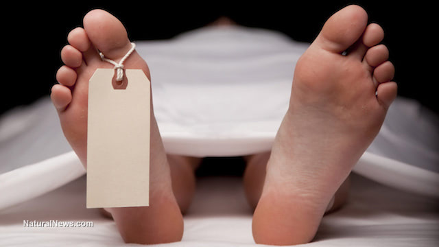 UK government seeks contract for “excess body storage” in preparation for mass extermination event