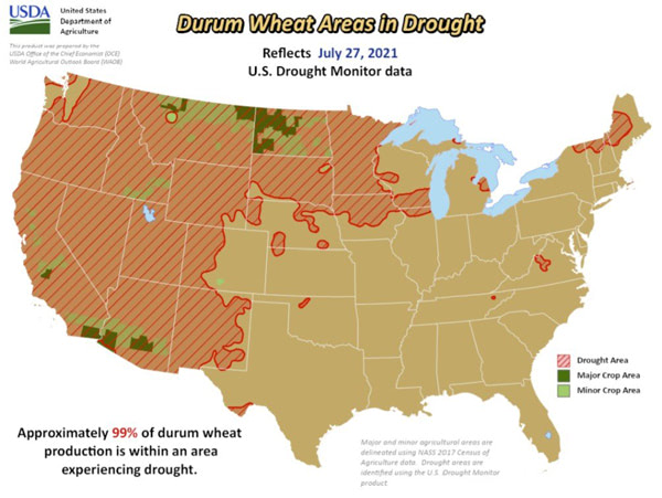 durum wheat drought vs crop usa