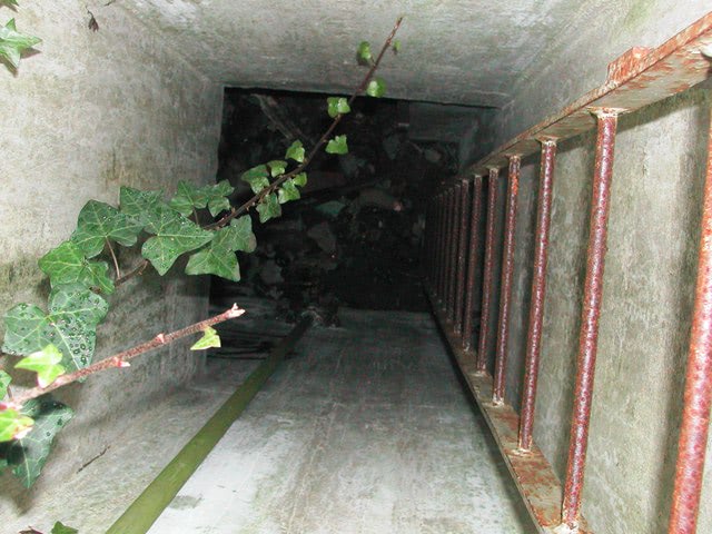 How to keep your survival shelter location secret: 5 tips to keep it undetectable