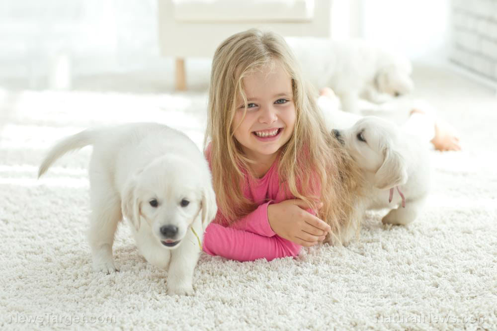 Home cleaning hacks: Non-toxic DIY carpet cleaner recipe