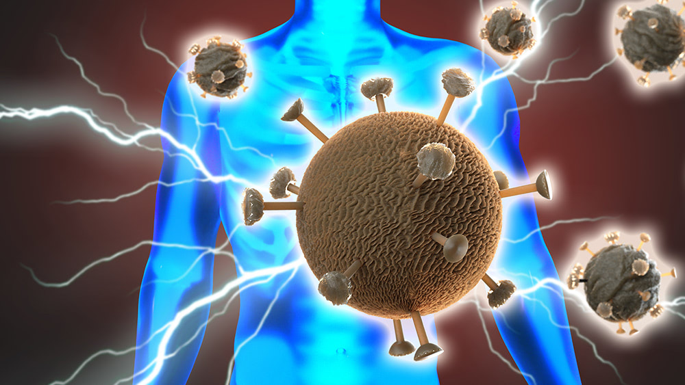 Pathogenic antibodies? Vaccine-induced antibodies now believed to be causing catastrophic to healthy tissue