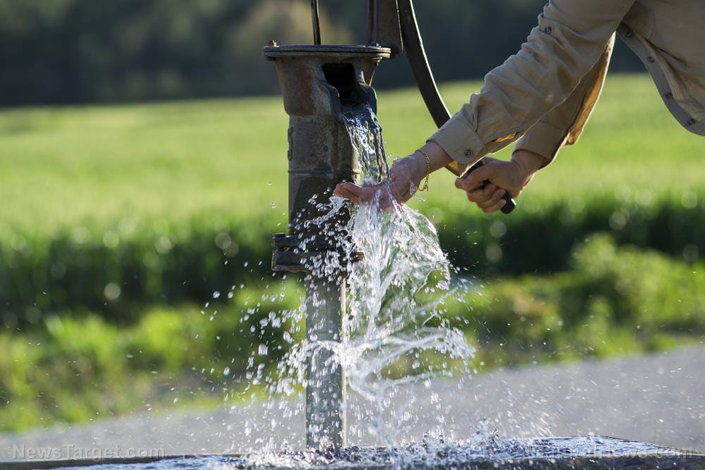Homesteading 101: How to conserve water on your property