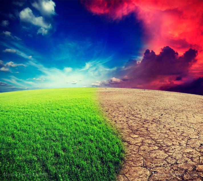 To fight climate change, say academics, UK must ban meat, halt all new construction, close all airports