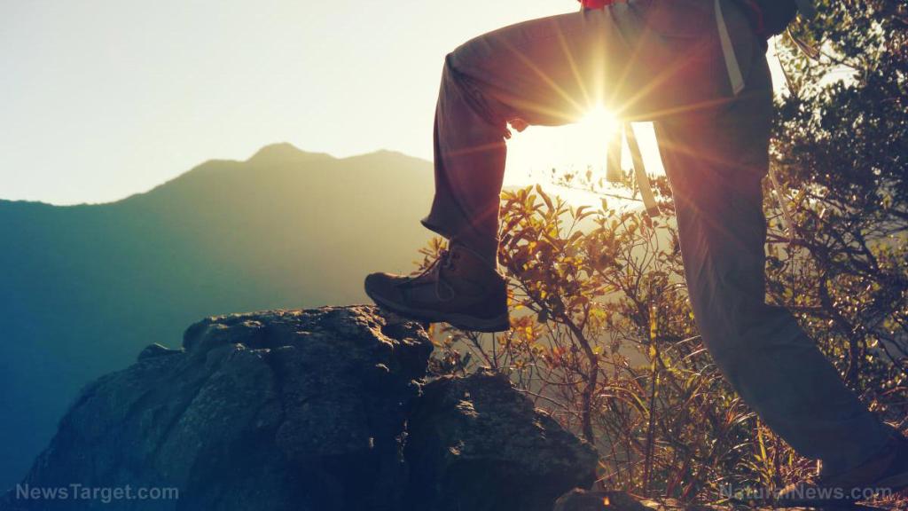 Emergency preparedness: All-season transportation options in a post-SHTF world