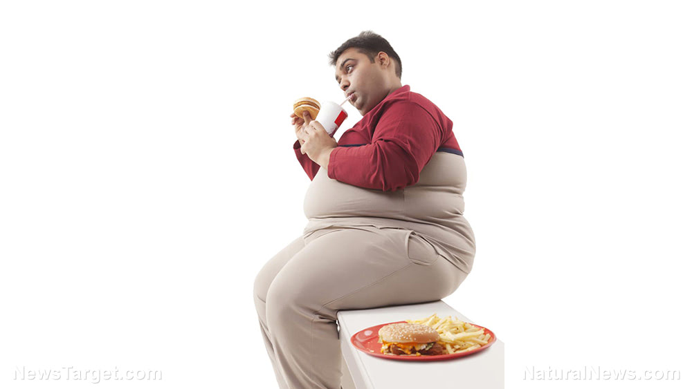 You ARE what you eat, and canola oil makes you FAT and DUMB