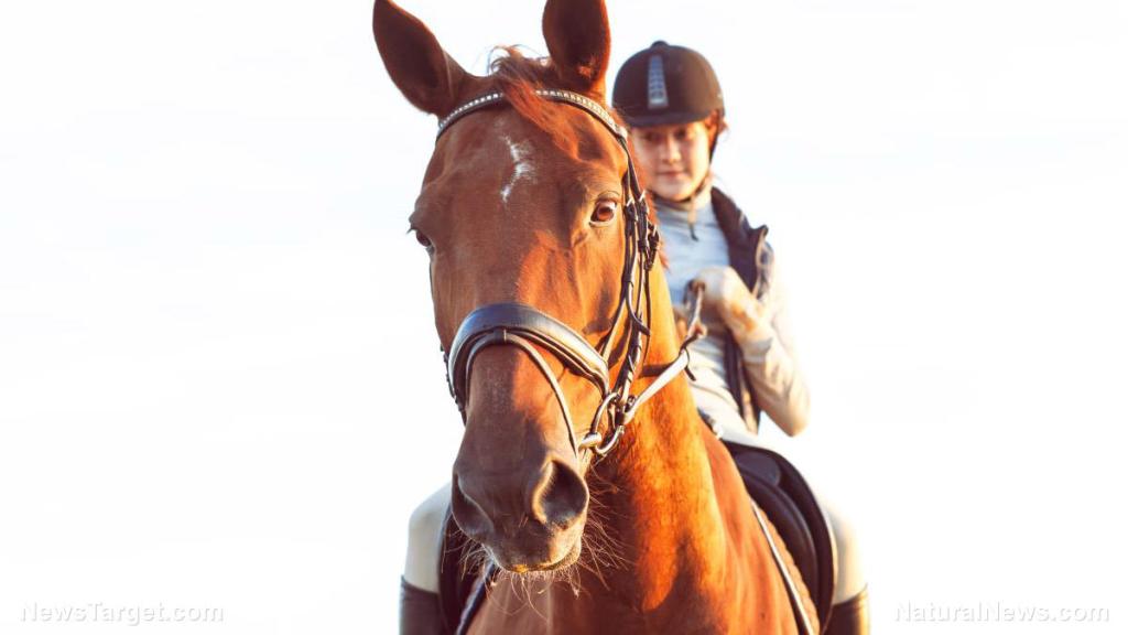 22-year-old “fully vaccinated” champion show jumper may never ride again due to covid jab-induced blood clots