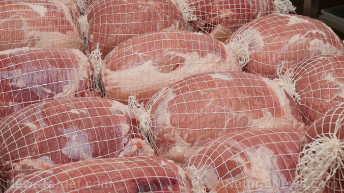 How to store meat long-term when living off-grid