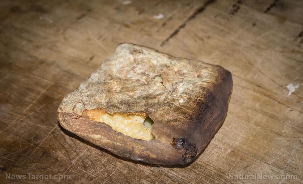 Prepper recipes: How to make hardtack, a long-lasting survival food