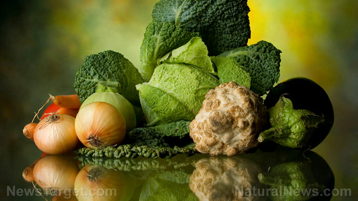 Case study finds plant-based diet can stop chronic headaches