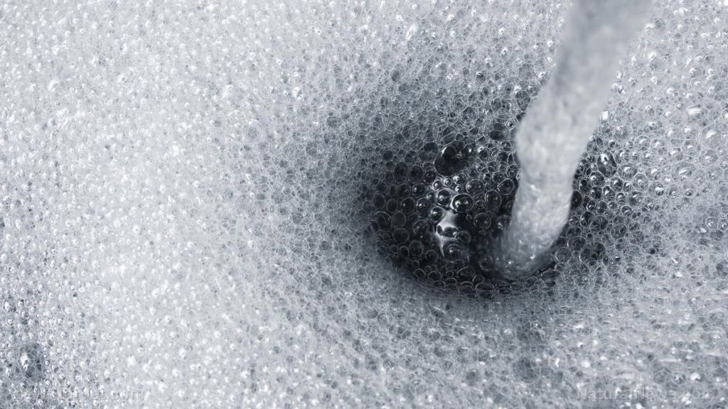 How to use plants to maintain personal hygiene even when SHTF