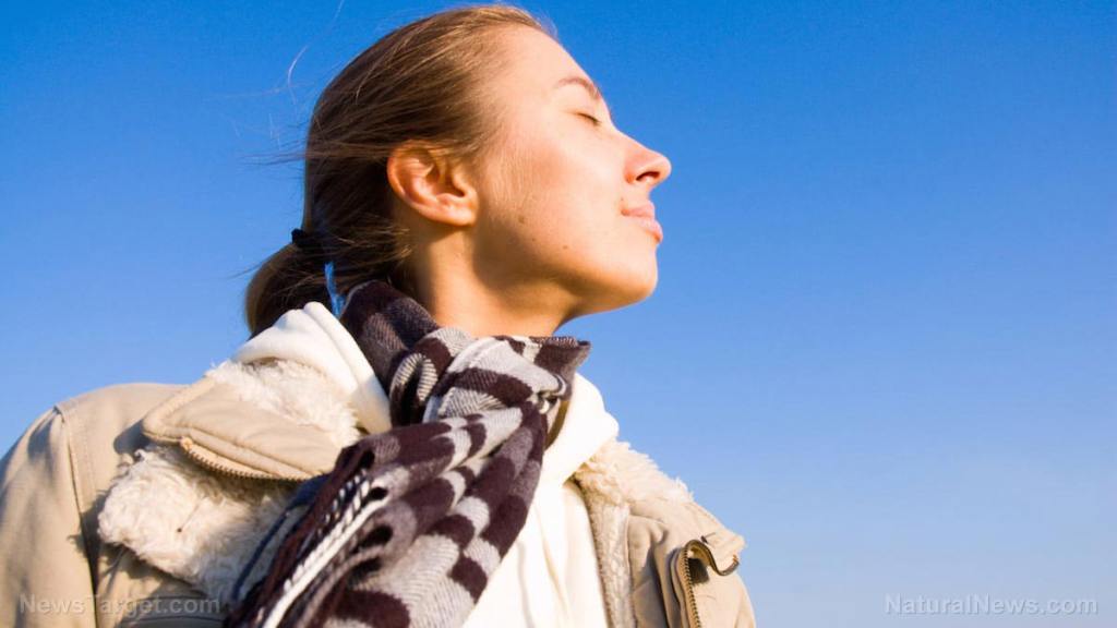 Due to changes in solar cycles, Earth could enter a period of GLOBAL COOLING, scientists warn