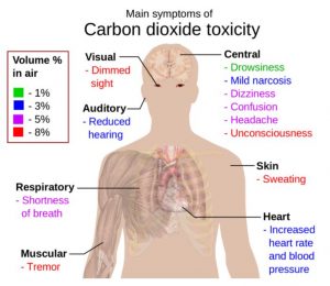 carbon dioxide toxicity