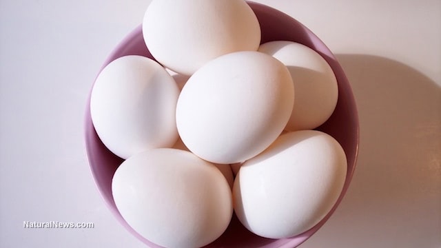 The truth about commercial eggs EXPOSED in shocking video