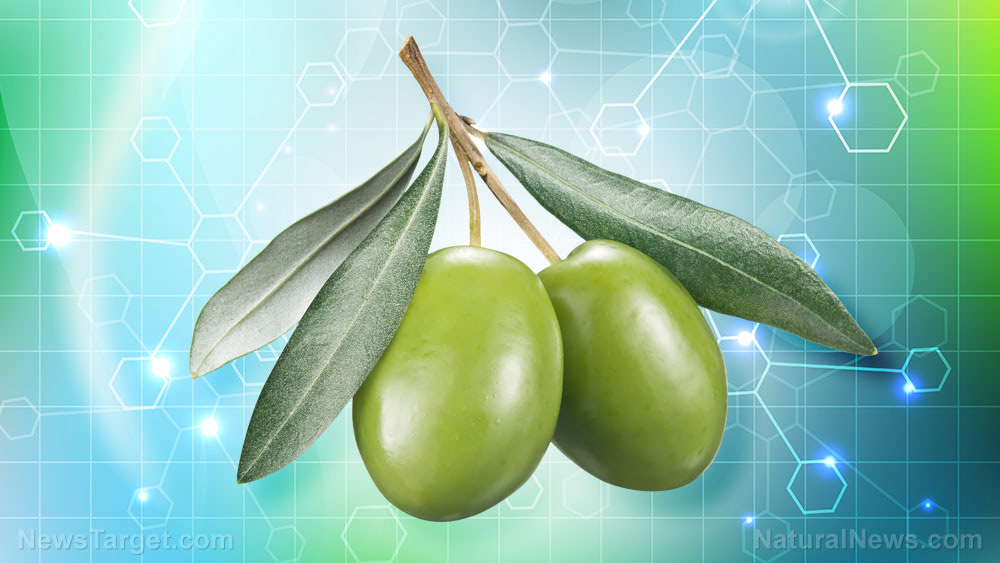 “Fake” olive oil warnings don’t tell the real story: In truth, popular olive oil products are “real” oils which are oxidized, rancid or cut with cheaper oils