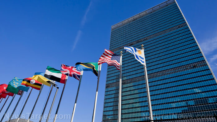 Dr. Stella Immanuel: The Beast has been revealed at UN headquarters