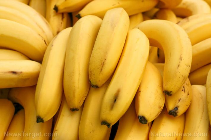 Study finds bananas more effective than salt reduction for lowering blood pressure