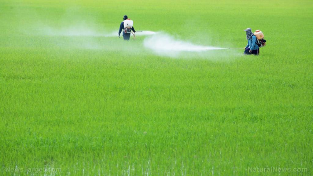 Top SEVEN cancer-causing chemicals in American food