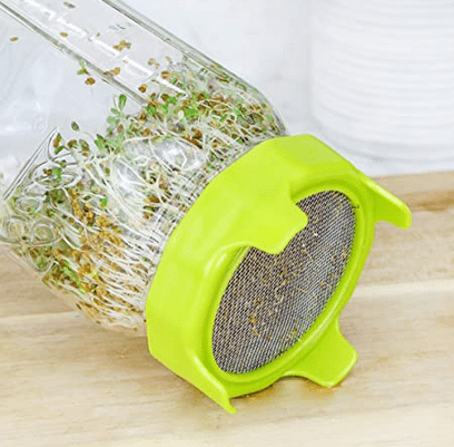 Can vaccine NERVE DAMAGE be REVERSED with this home-grown molecule called sulforaphane?