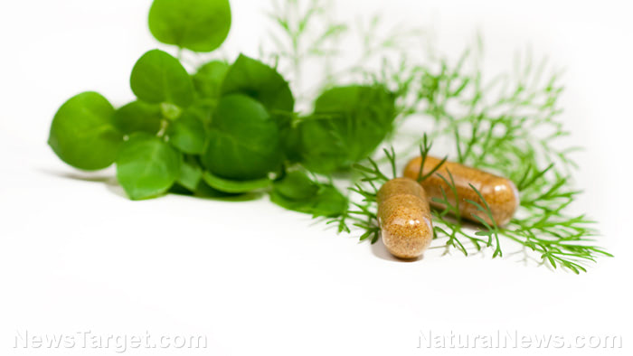 Quercetin: A flavonoid that fights COVID like hydroxychloroquine