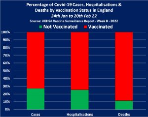 England covid deaths 90 vaccinated