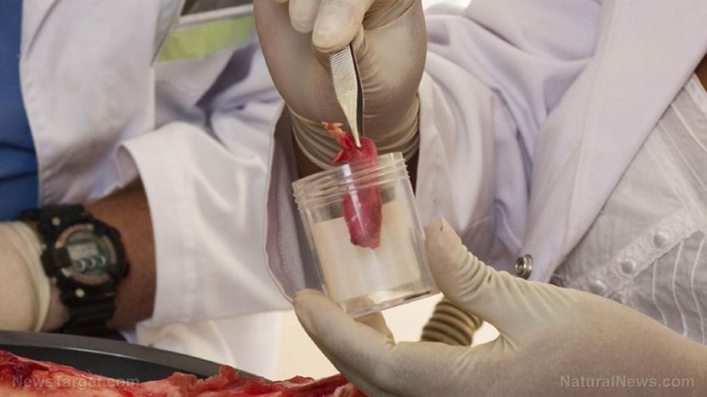 “Cultured meat?” Just a trendy-sounding name for lab-concocted, genetically-mutated cancer food